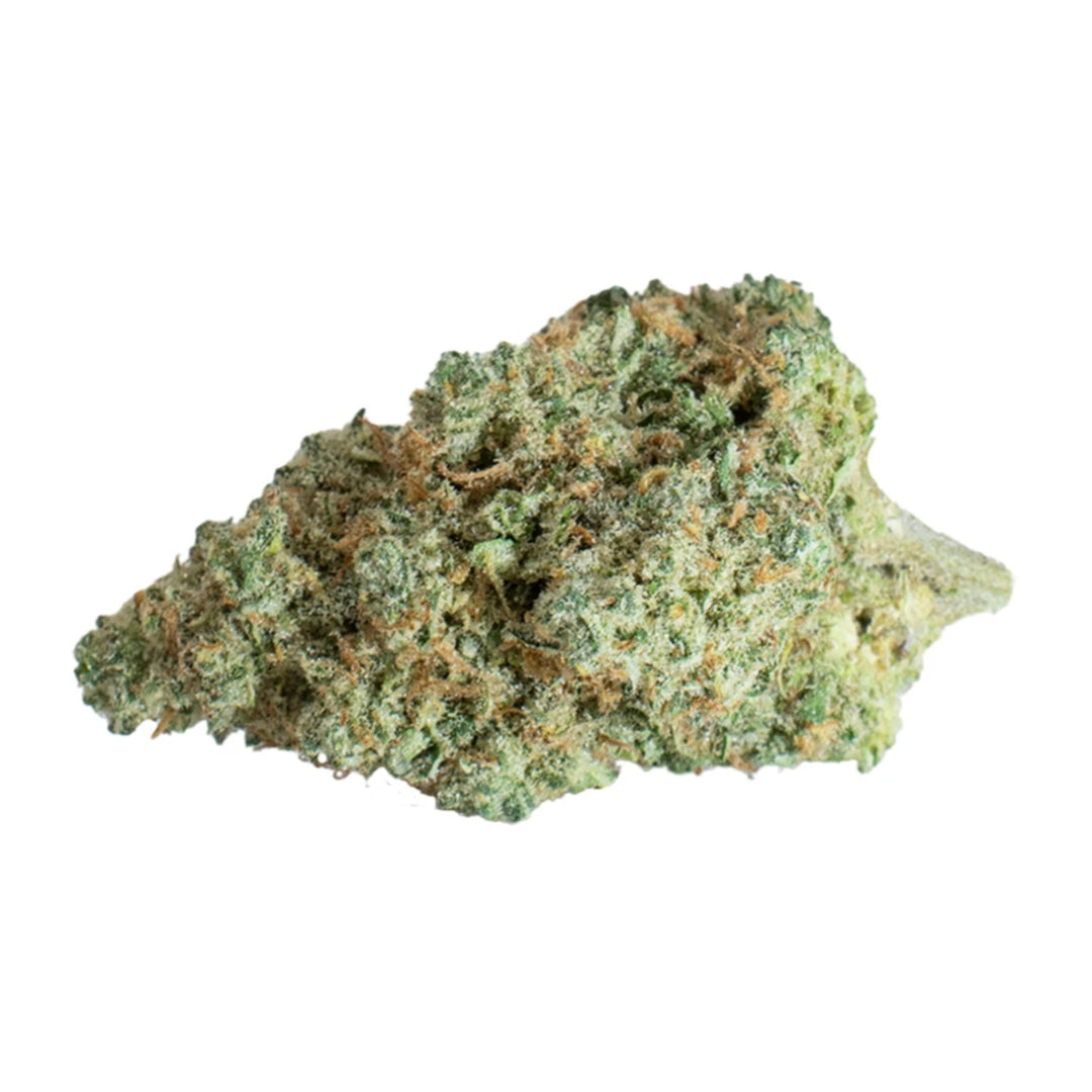 SELESTE KING TUT (S) DRIED - 3.5G