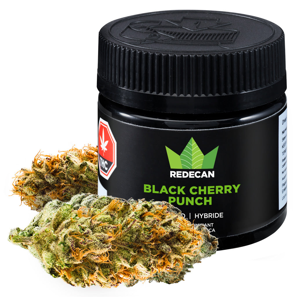 REDECAN BLACK CHERRY PUNCH (IND) DRIED - 1G