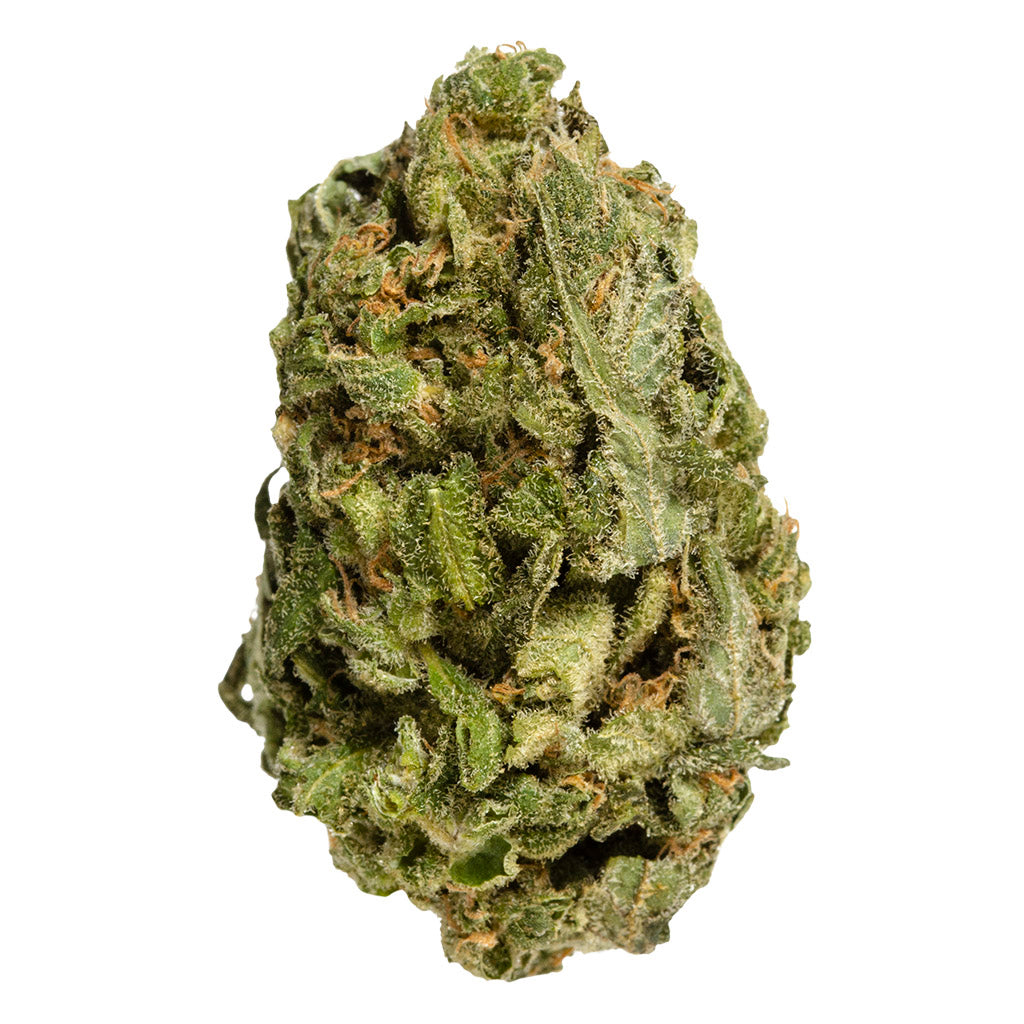 BAKE SALE ALL PURPOSE FLOWER SATIVA (S) DRIED - 28G