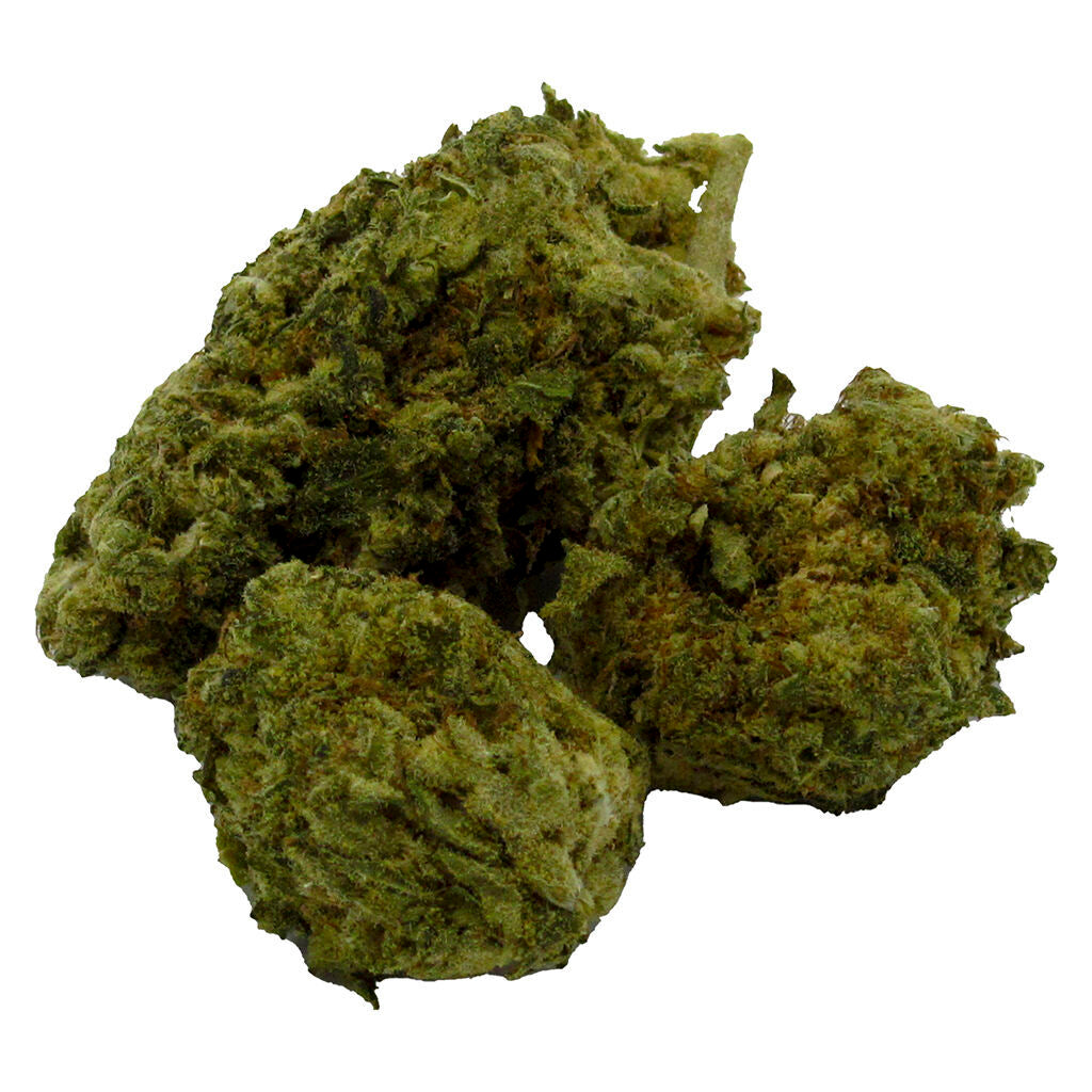 JAX GENETICS JAX DOUBLE TROUBLE SEEDS - 12PK