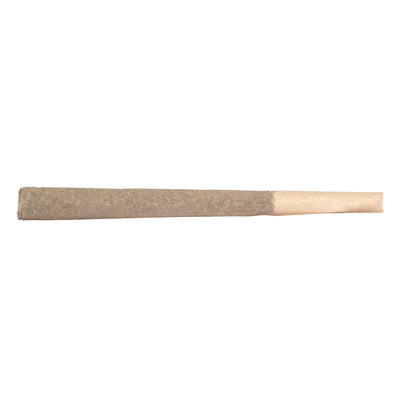 DIVVY BLACK WIDOW CBD (H) PRE-ROLL - 0.35G X 12