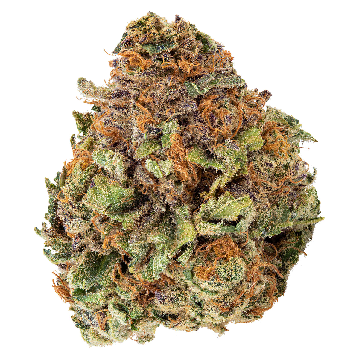 EDISON MIMOSA (S) DRIED - 3.5G