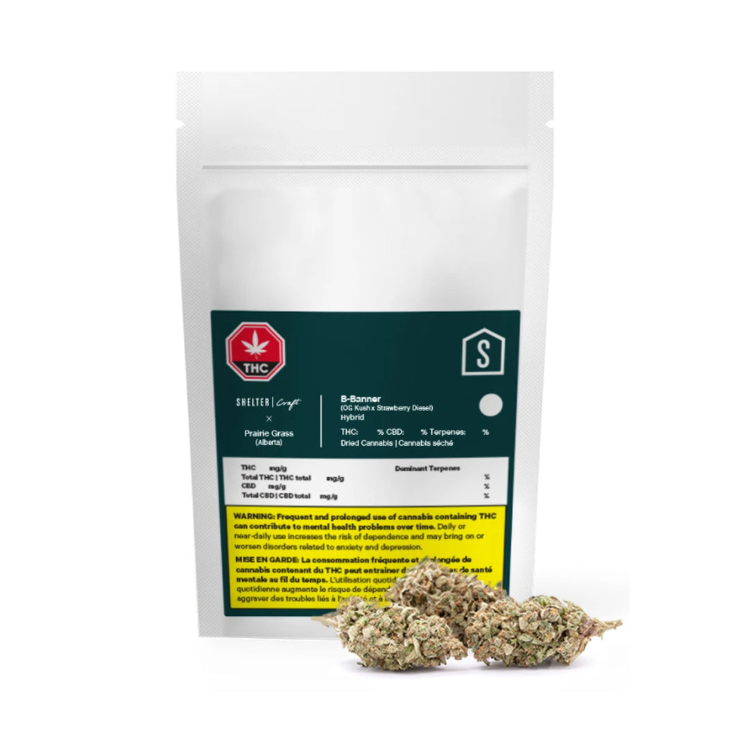 PRAIRIE GRASS B-BANNER (H) DRIED - 3.5G