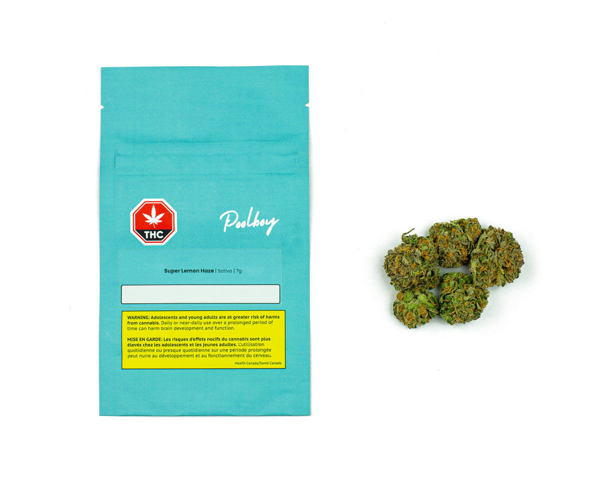 POOLBOY SUPER LEMON HAZE (S) DRIED - 7G
