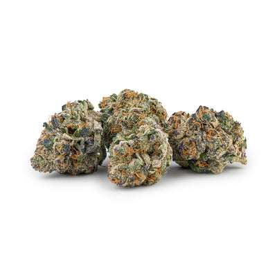 INDI GELATO 33 (IND) DRIED - 3.5G