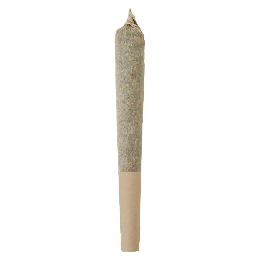 VERSUS ORIGINALS AMP (H) PRE-ROLL - 1G X 1