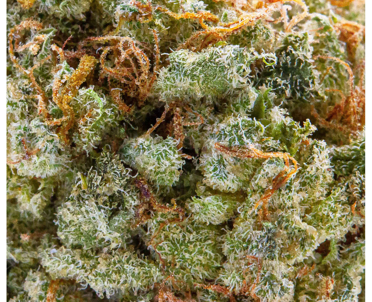 SPINACH WEDDING CAKE (IND) DRIED - 3.5G
