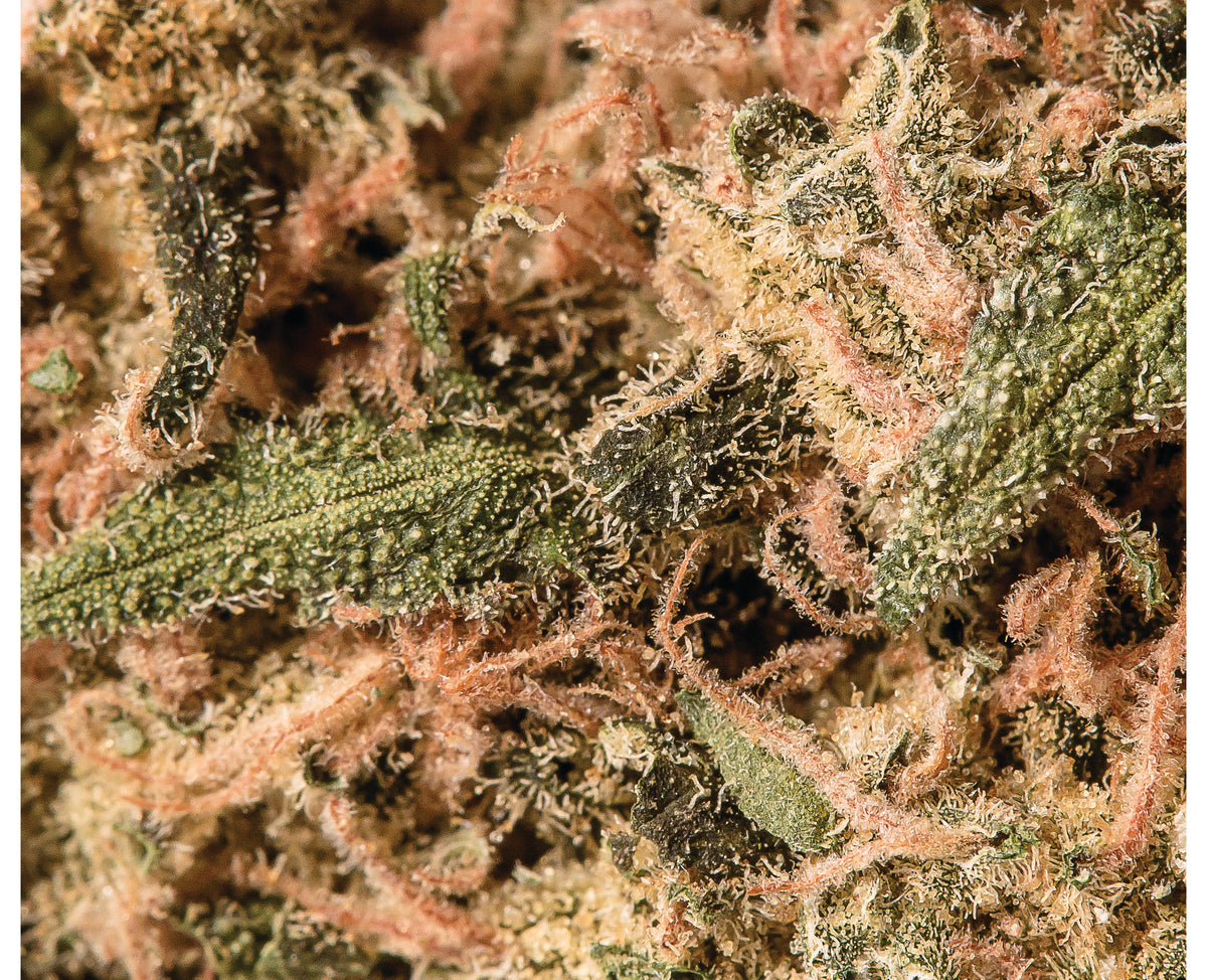 VIRIDIS VAULT (IND) DRIED - 3.5G