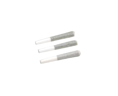 BOLD SOUR GIRL (H) PRE-ROLL - 0.5G X 3