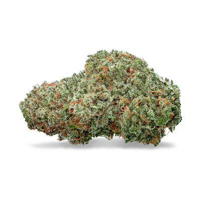 HIGHLY DUTCH AMSTERDAM SATIVA (S) DRIED - 28G