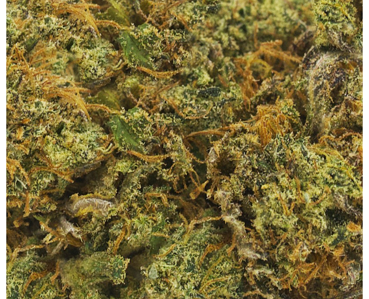 QOB AMETHYST (H) DRIED - 3.5G