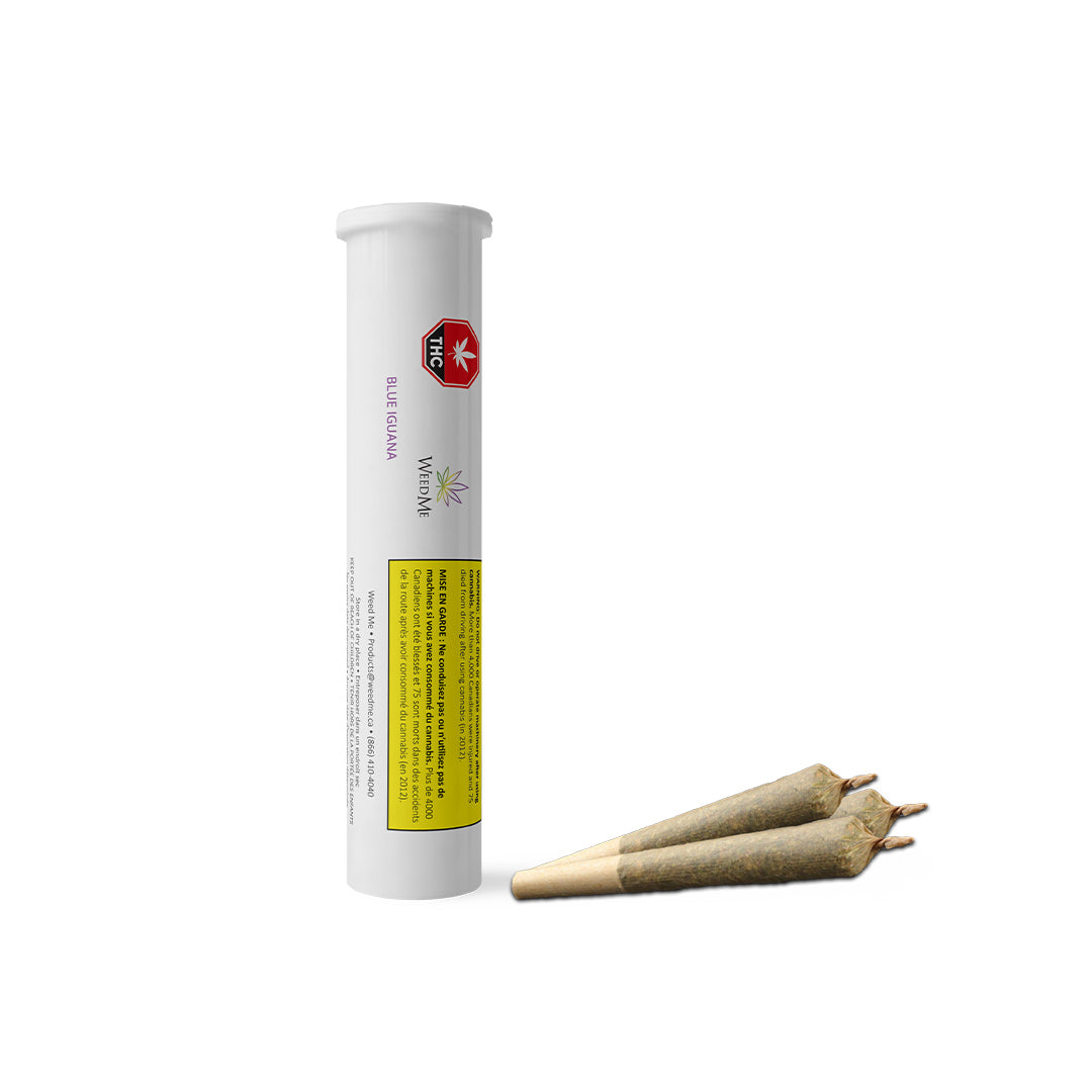 WEED ME BLUE IGUANA (H) PRE-ROLL - 0.5G X 3
