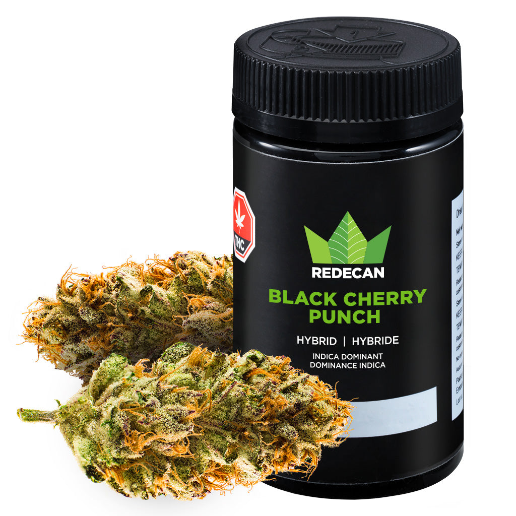 REDECAN BLACK CHERRY PUNCH (IND) DRIED - 14G