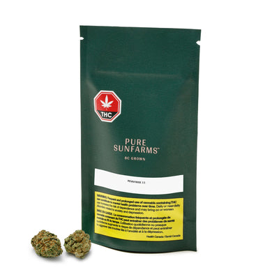 PURE SUNFARMS P.WISE 1:1 (H) DRIED - 3.5G