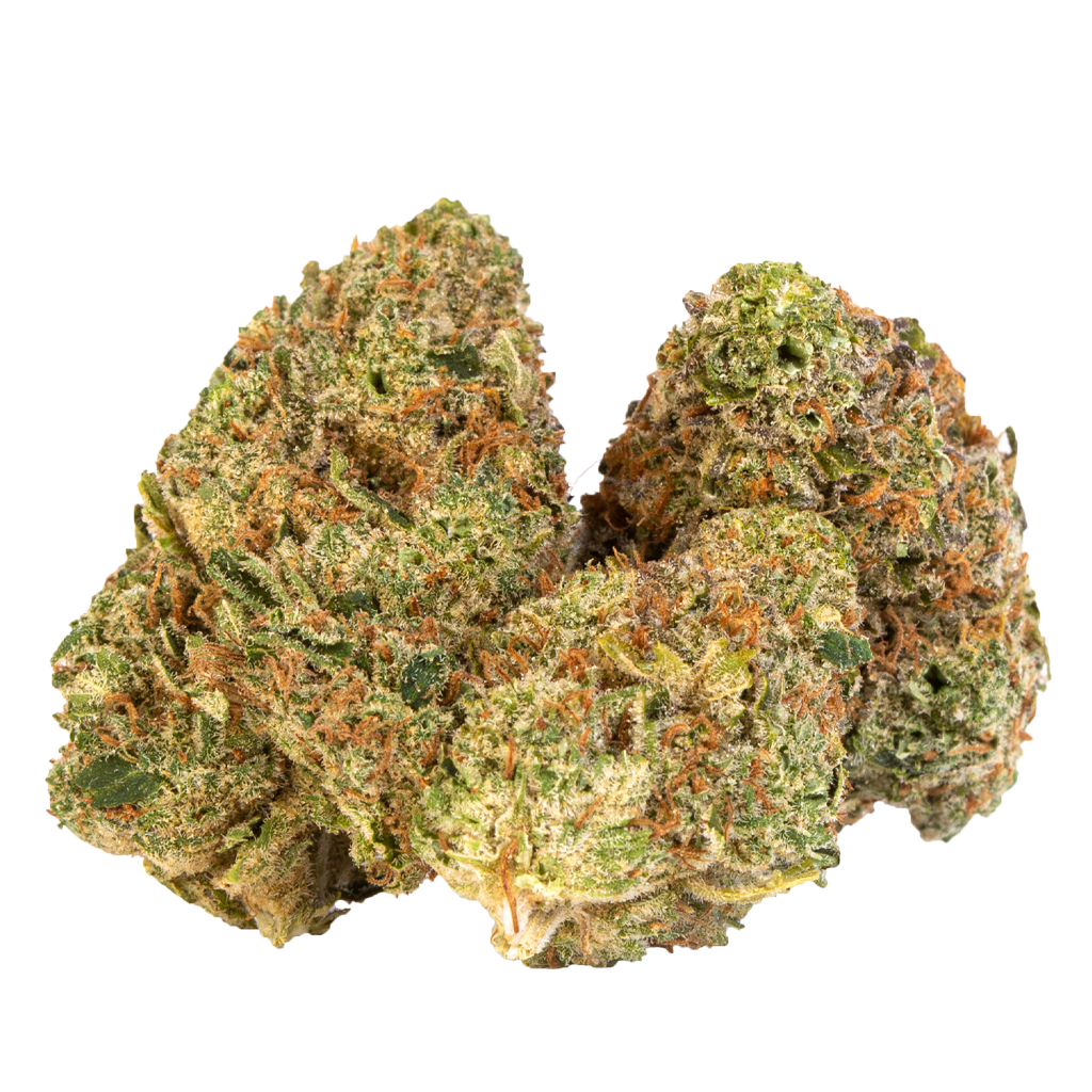 NESS GELATO MINT (IND) DRIED - 3.5G