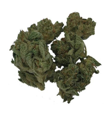 SITKA WEED WORKS CHEDDAR BOB (IND) DRIED - 3.5G