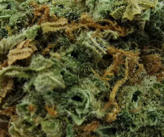 GREENADE BLUE DREAM (S) DRIED - 3.5G
