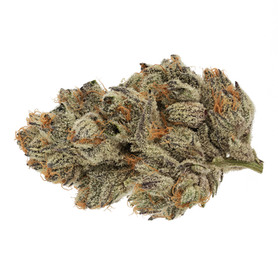 BROKEN COAST KUSH MINTS (H) DRIED - 3.5G