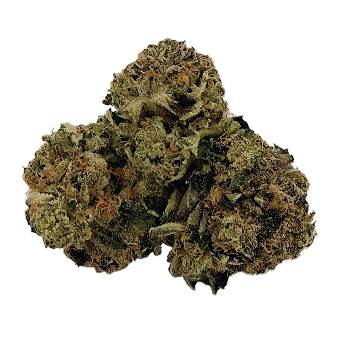 1337 ELITE SWEET TOOTH (IND) DRIED - 3.5G