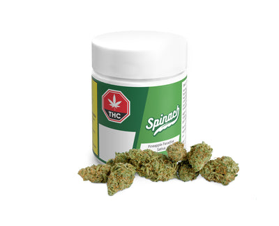 SPINACH PINEAPPLE PARADISE (S) DRIED - 3.5G