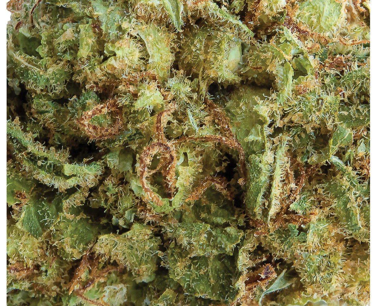 SPINACH PINEAPPLE PARADISE (S) DRIED - 3.5G