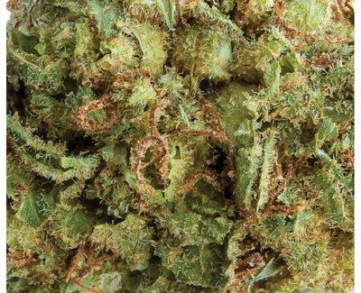SPINACH PINEAPPLE PARADISE (S) DRIED - 3.5G