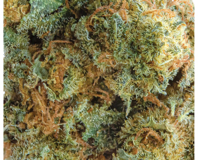 SPINACH ATOMIC SOUR GRAPEFRUIT (IND) DRIED - 3.5G