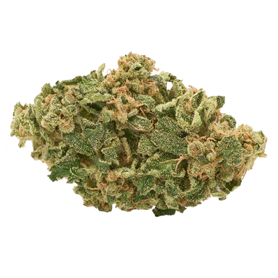 SOLEI CHOCOLATE CHEESECAKE (H) DRIED - 3.5G