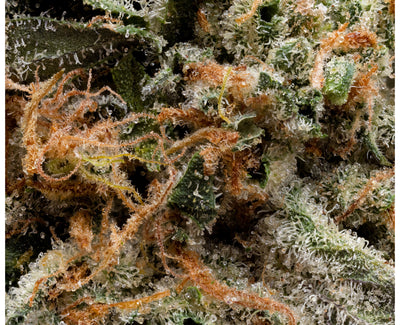 SIMPLY BARE ISLAND PINK KUSH (IND) DRIED - 3.5G