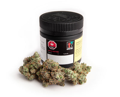 UPRYZE APPLE FRITTER (H) DRIED - 3.5G