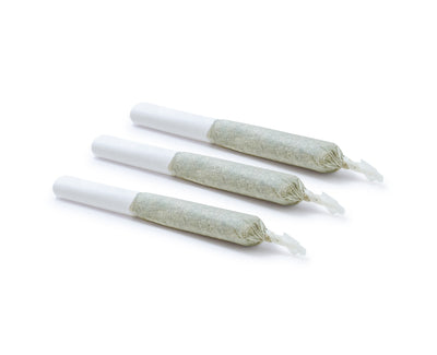 SAN RAFAEL 71 GMO (H) PRE-ROLL - 0.5G X 3