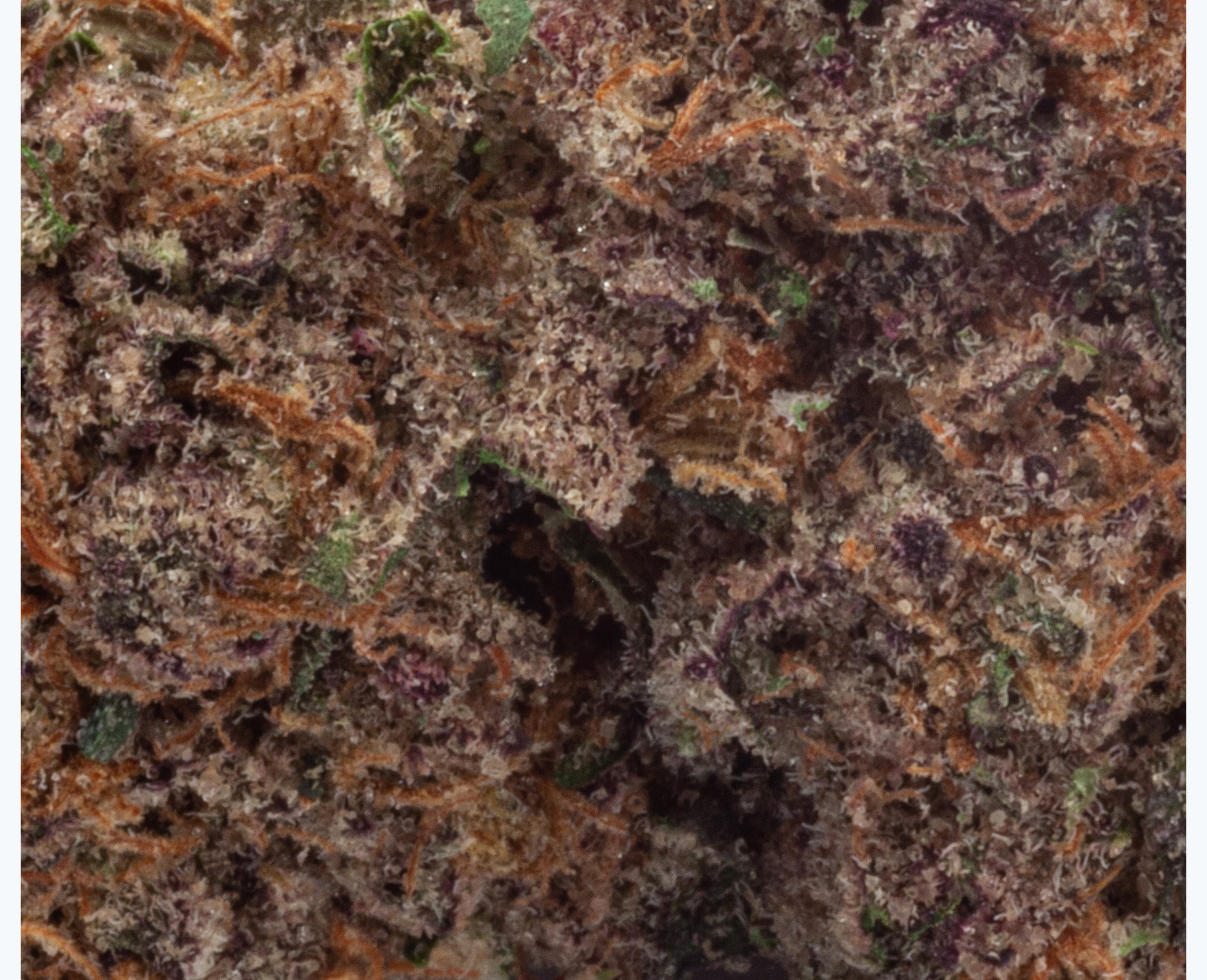 NATURAL HISTORY LA KUSH CAKE (IND) DRIED - 14G