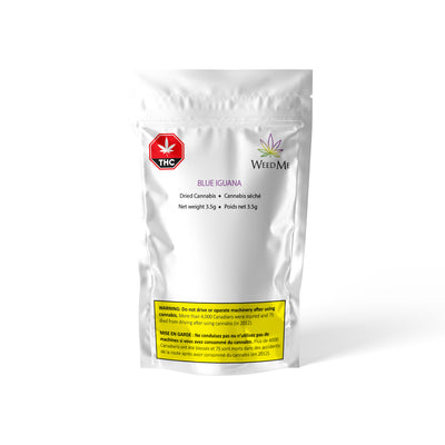 WEED ME BLUE IGUANA (H) DRIED - 3.5G