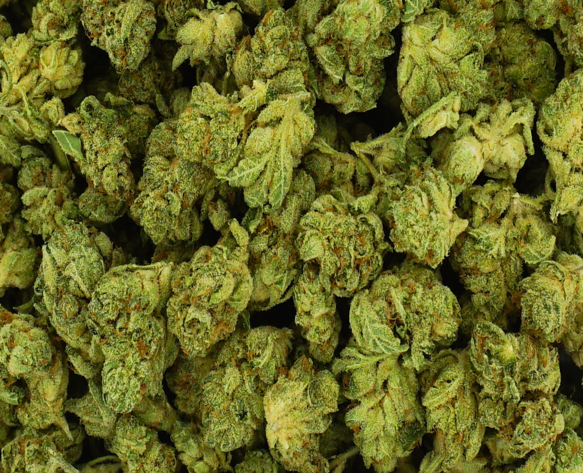 CITIZEN STASH CHOCOLATE SOUR DIESEL (H) DRIED - 3.5G