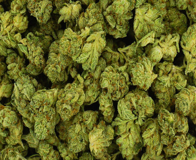 CITIZEN STASH CHOCOLATE SOUR DIESEL (H) DRIED - 3.5G