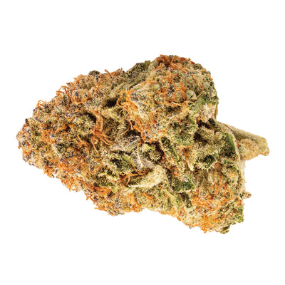 RIFF HELL CAT 33 (H) DRIED - 28G