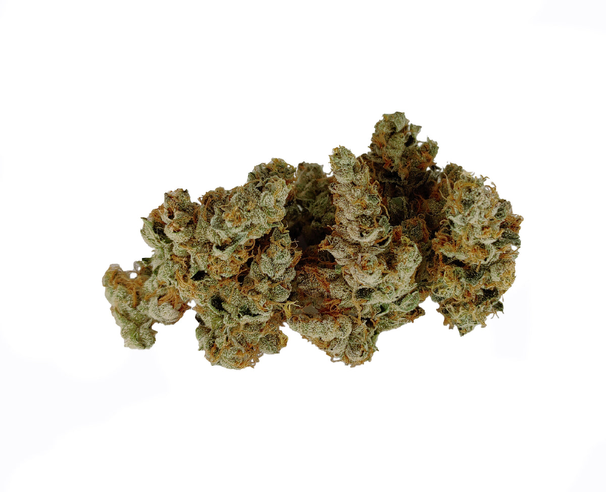 PARTAKE GMO (H) DRIED - 3.5G