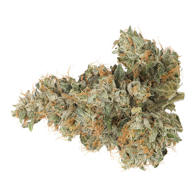 COAST MOUNTAIN BC ORGANIC PEMBERTON PINK (IND) DRIED - 3.5G