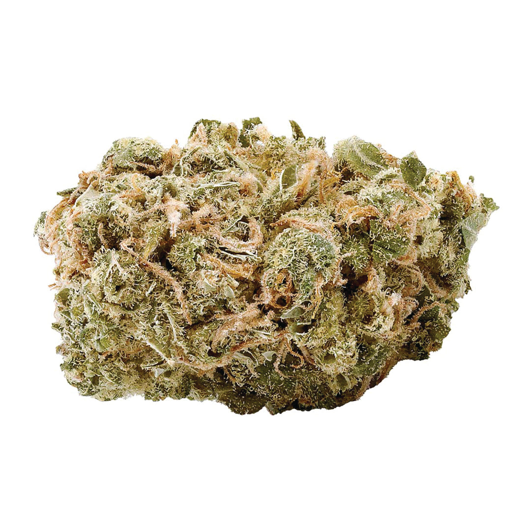 HAVENT ST NO 515 NOISY NEIGHBOUR (S) DRIED - 14G