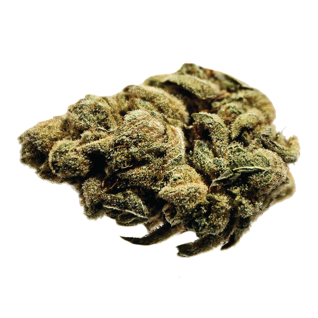 STATION HOUSE OG KUSH (IND) DRIED - 28G