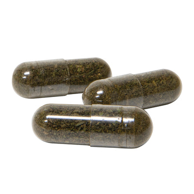 WHOLEHEMP CBDA (H) CAPSULES - 20MG X 15