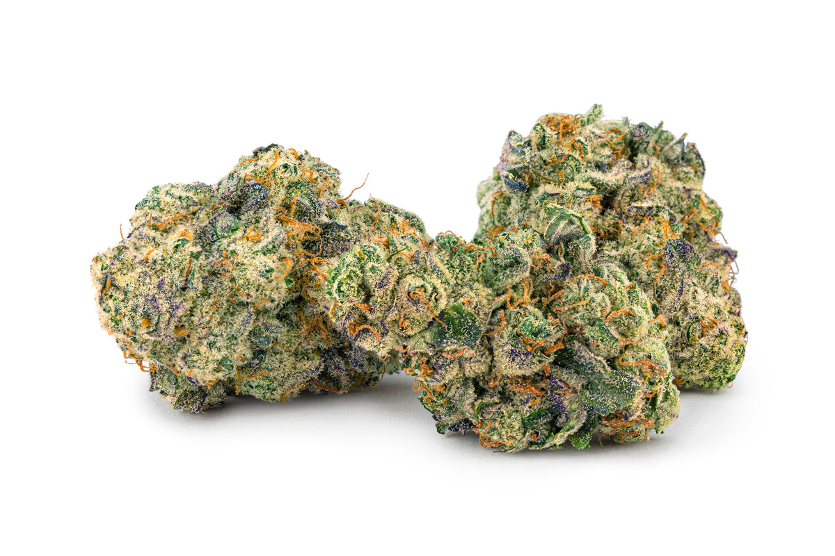 EDISON MAC1 (H) DRIED - 1G