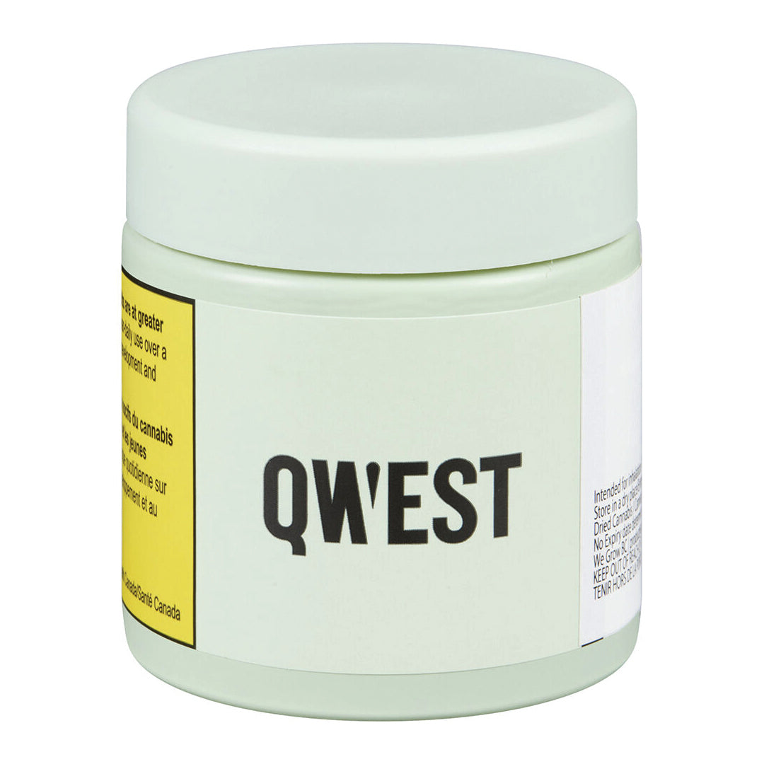 QWEST PAPAYA CAKE (H) DRIED - 3.5G