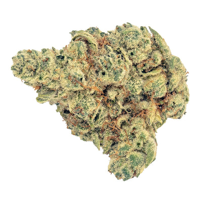 DOJA SOUR GLUE (H) DRIED - 3.5G
