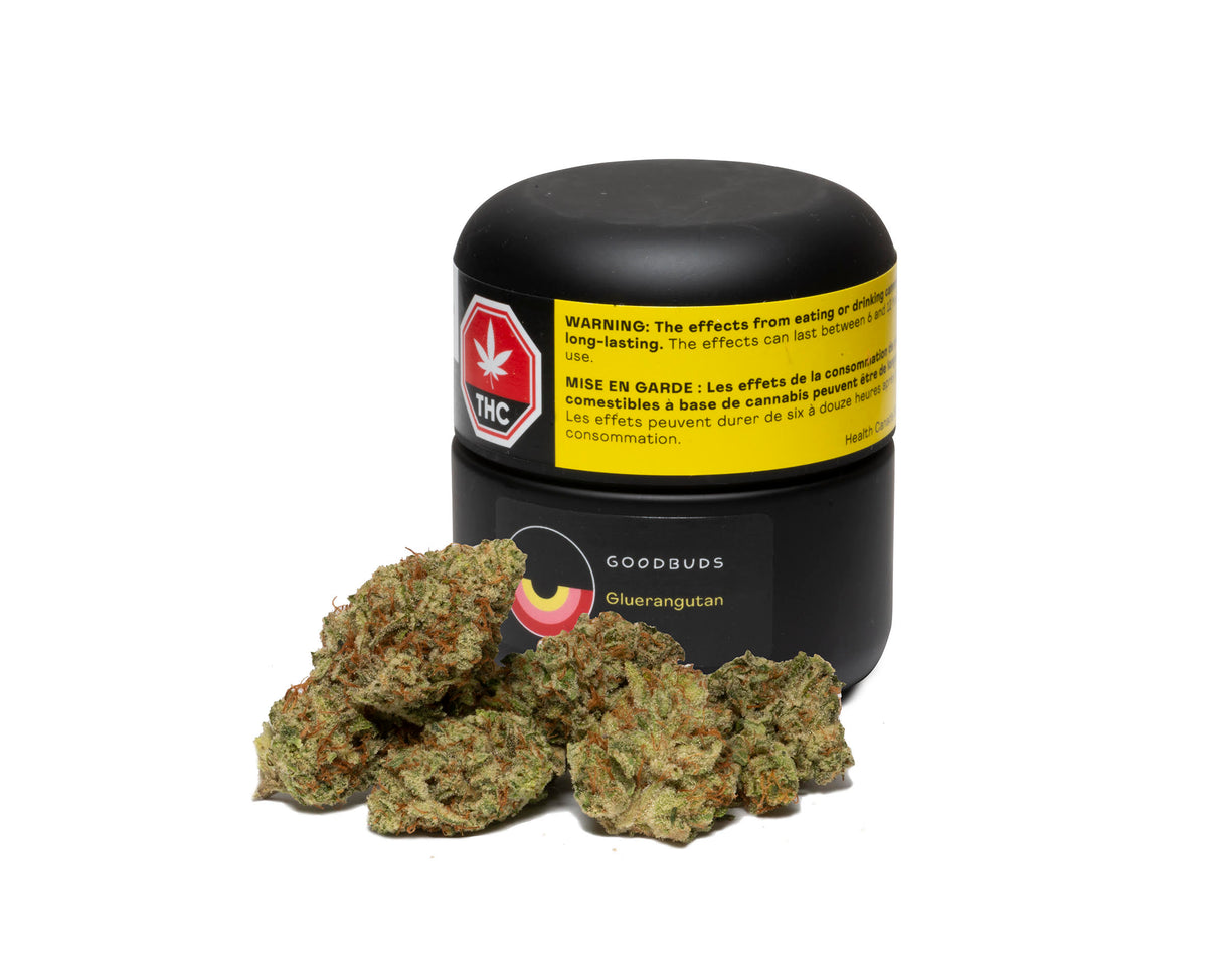 GOOD BUDS GLUERANGUTAN (H) DRIED - 7G
