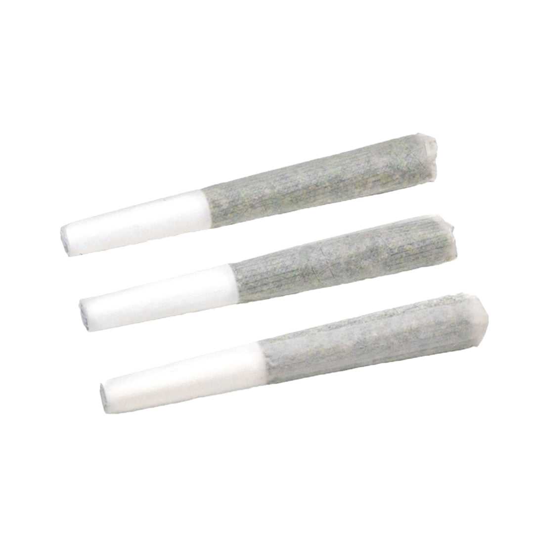 BOLD GELATO (H) PRE-ROLL - 0.5G X 3
