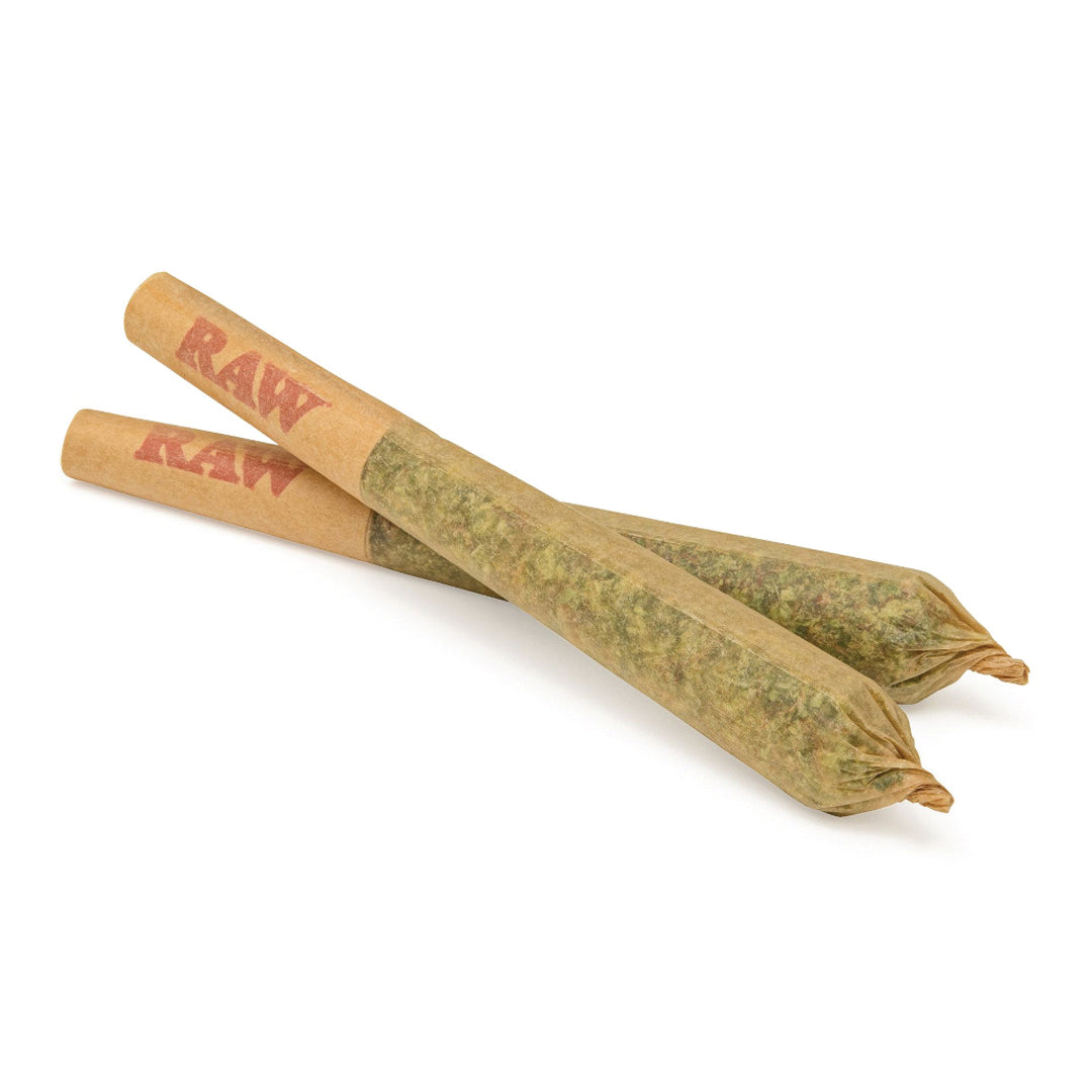 GOOD BUDS GUAVA GHOUL (IND) PRE-ROLL - 0.5G X 7
