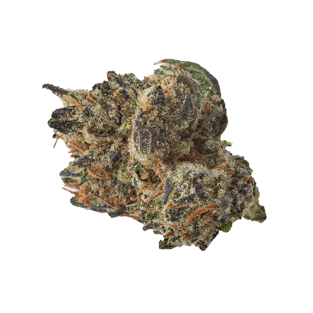 KOLAB PROJECT PURPLE KUSH (IND) DRIED - 3.5G
