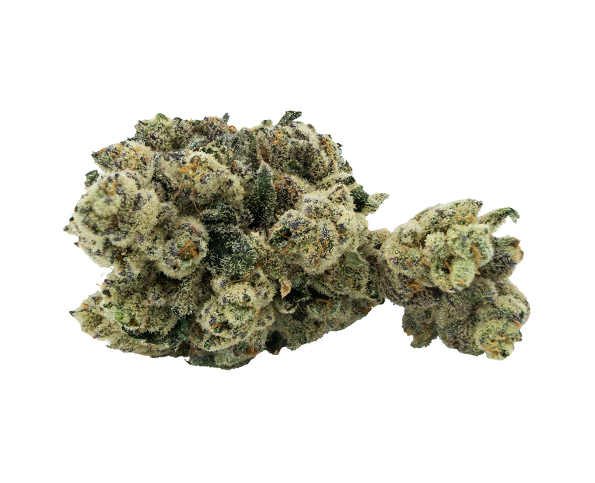 CITIZEN STASH JUNGLE BREATH (H) DRIED - 3.5G