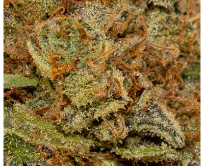 FREEDOM CANNABIS SECRET FORMULA (IND) DRIED - 1G